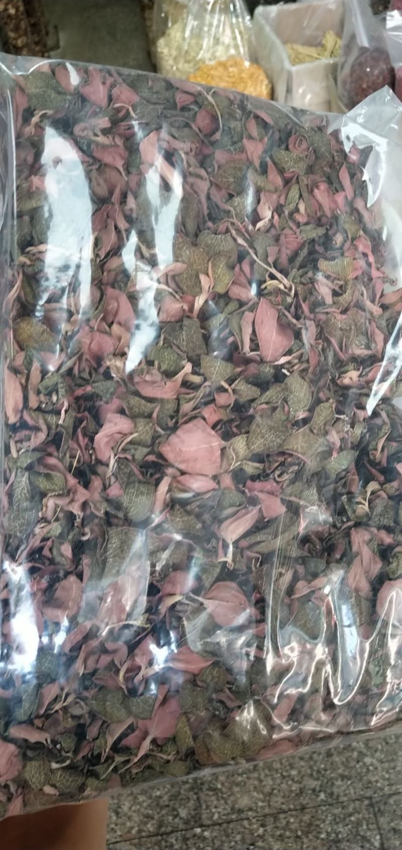 台湾金线莲