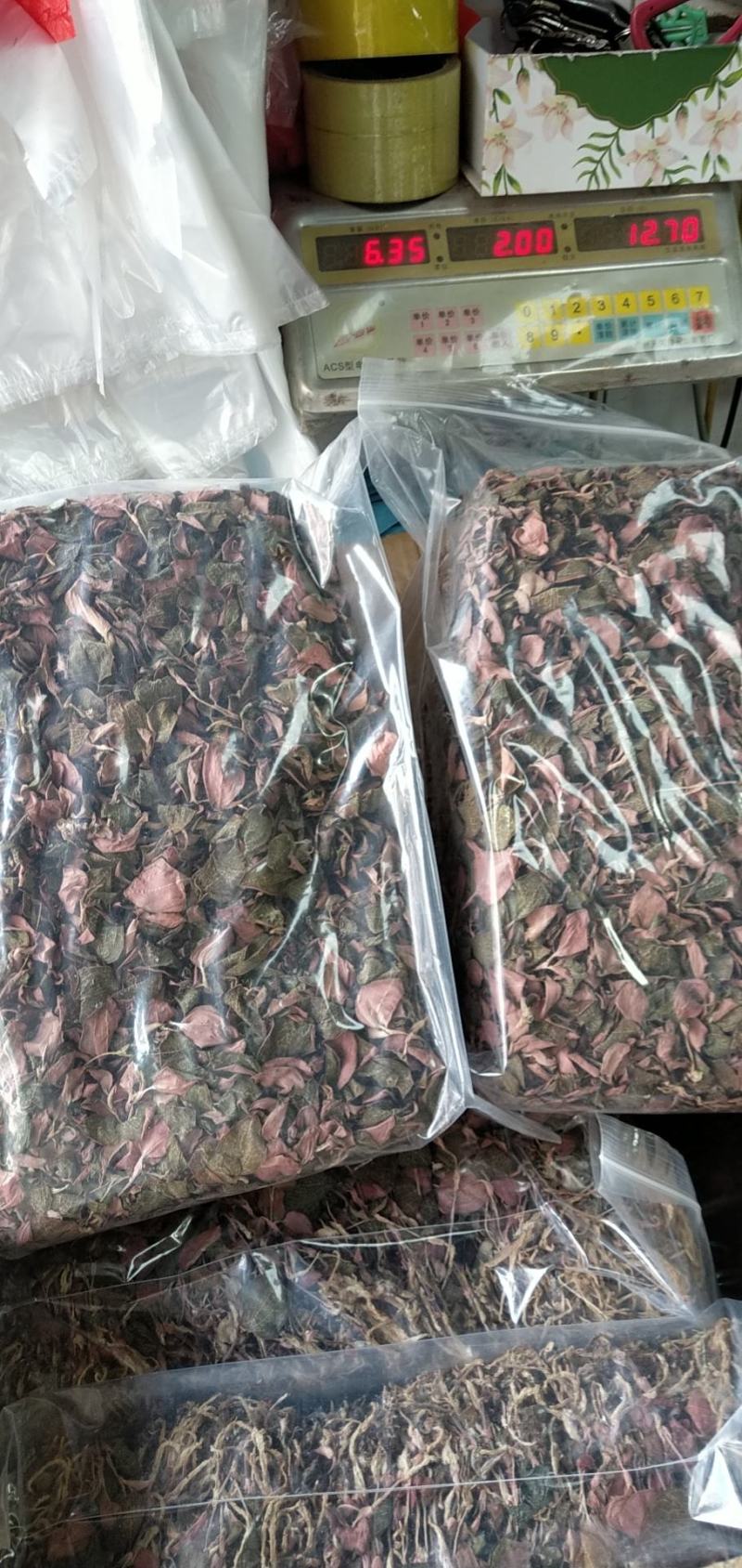 台湾金线莲