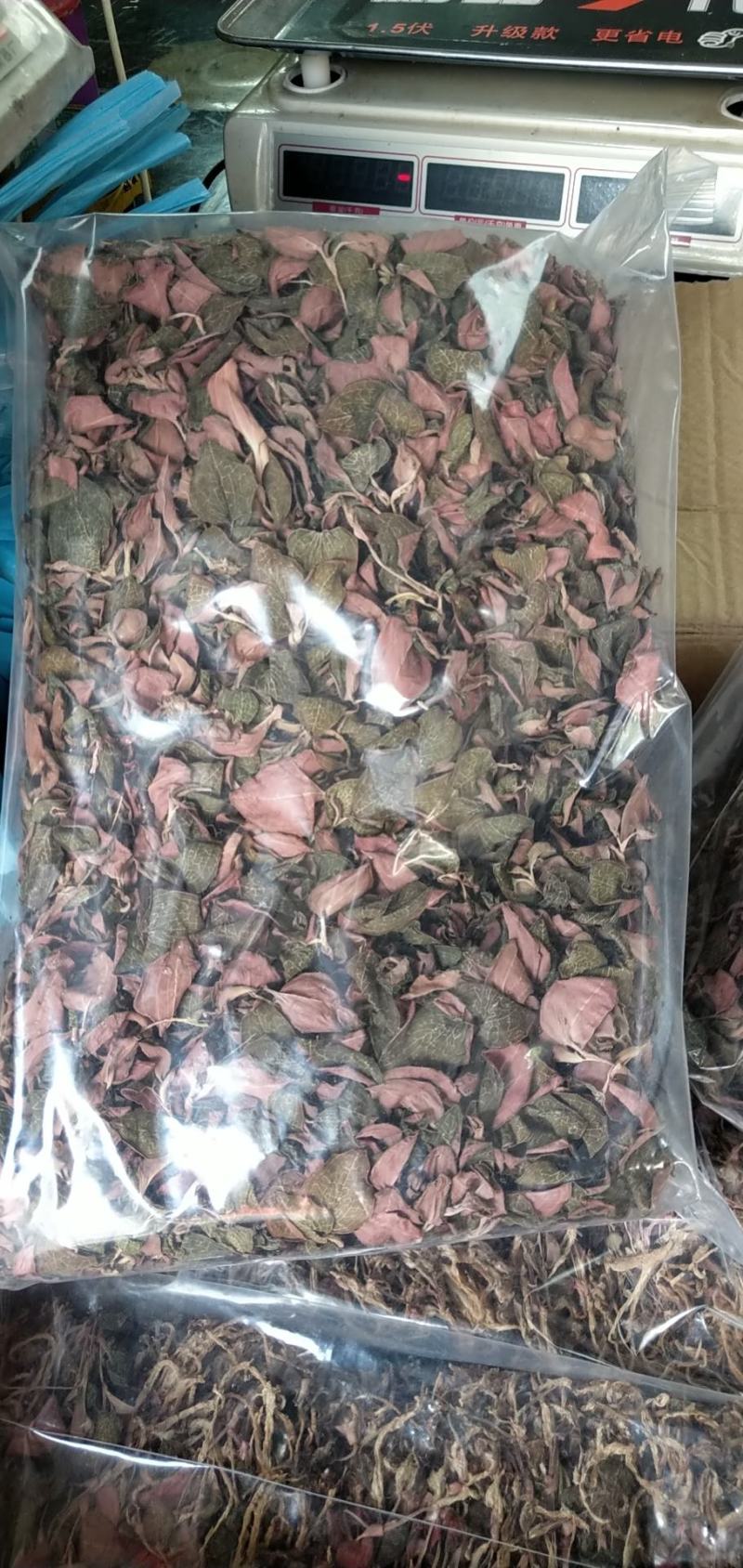 台湾金线莲