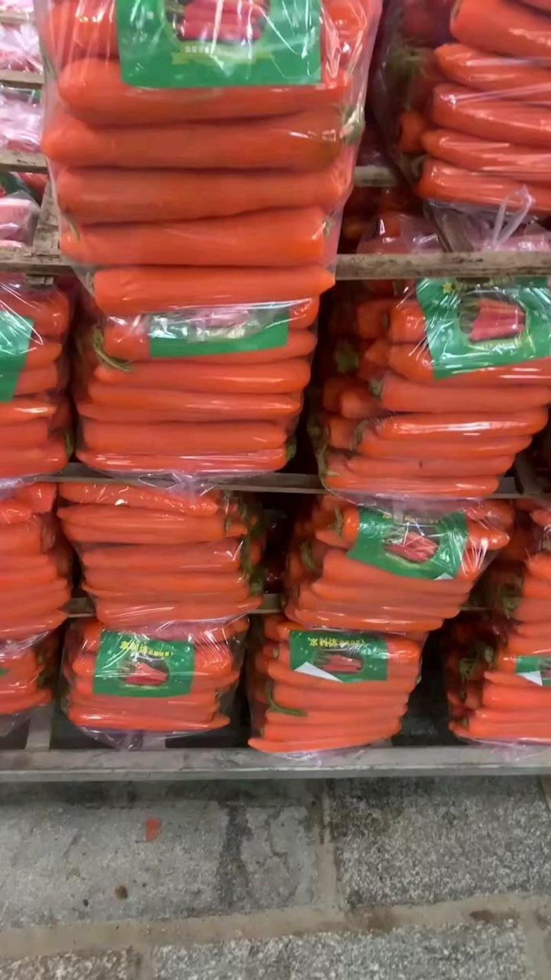 【精选】胡萝卜三红胡萝卜，商超品质，大量有货，货源稳定