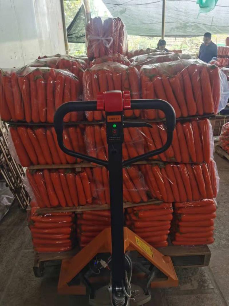 【精选】胡萝卜三红胡萝卜，商超品质，大量有货，货源稳定