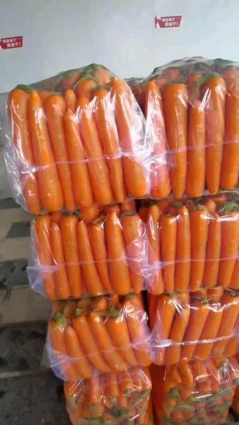 【精选】胡萝卜三红胡萝卜，商超品质，大量有货，货源稳定