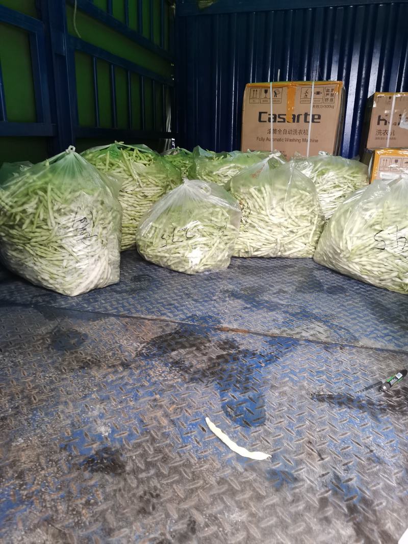 平度市崔家集镇芸豆大量上市中，需要的老板联系
