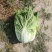 湖北大白菜