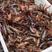 云南高水质小龙虾，质量好，肉质细嫩价格便宜