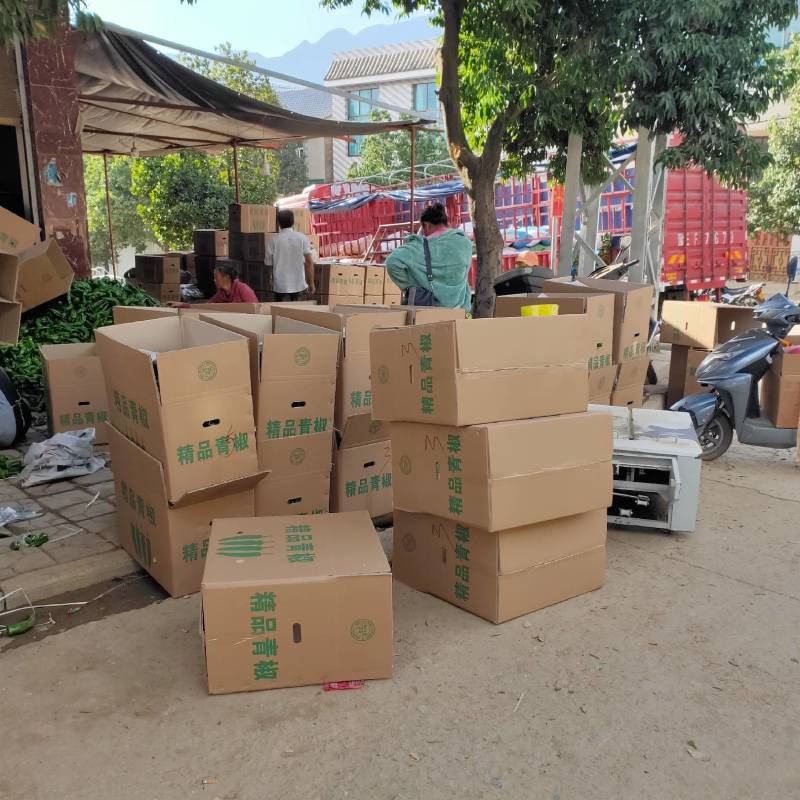 鲜辣椒云南薄皮椒产地直发质量保证货源充足全国发货