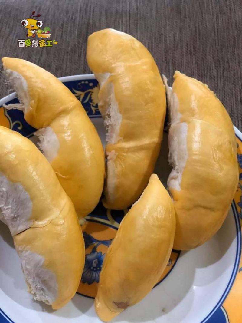 新采摘山大武里稀有品种
