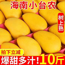 海南小台芒新鲜水果一件代发电商微商社区团购10斤