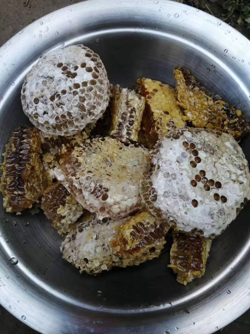 广西巴马野生蜂蜜