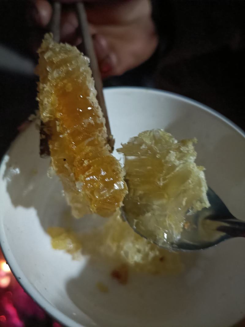 广西巴马野生蜂蜜