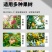 （包邮）电动果树套袋机水果套袋神器苹果套袋专用撑袋器果子