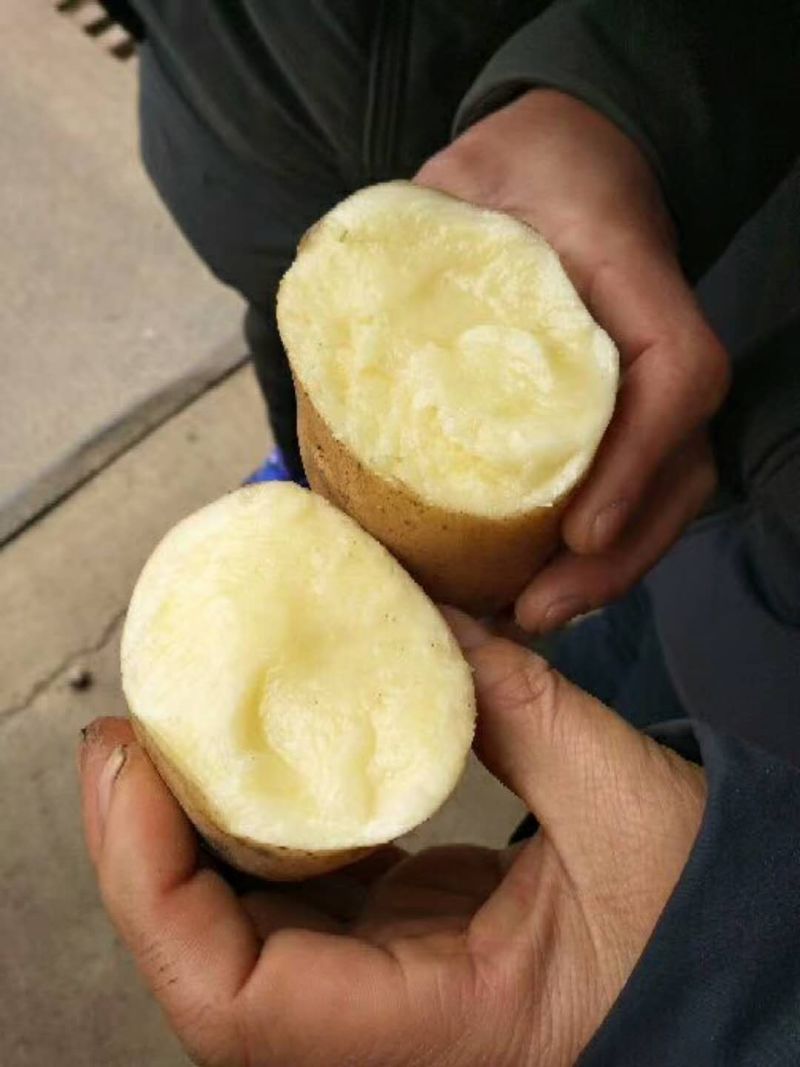 【推荐】荷兰十五土豆黄皮黄心全国发货保质保量无青头黑心