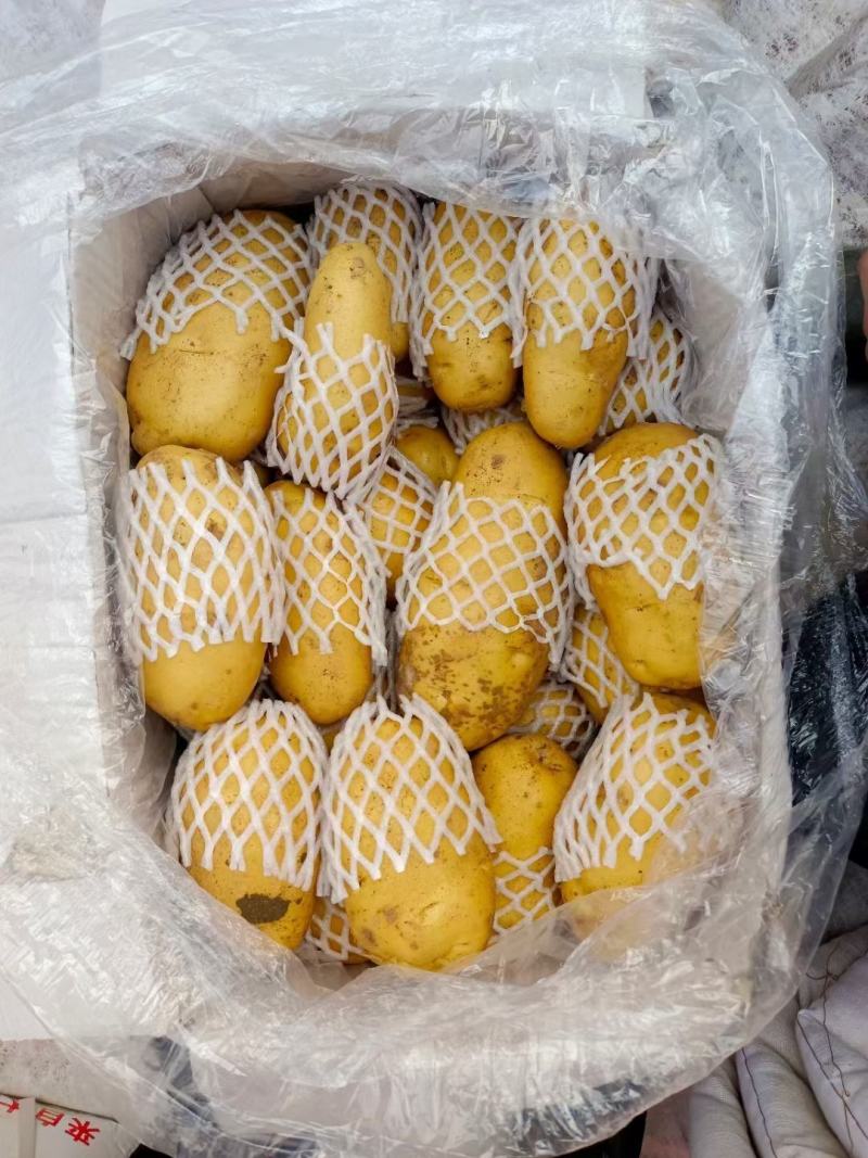【推荐】荷兰十五土豆黄皮黄心全国发货保质保量无青头黑心