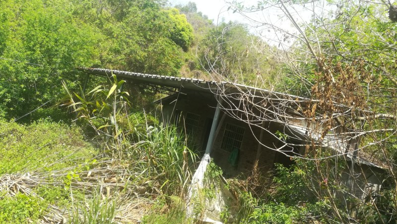 山地，出租，价格便到你笑……