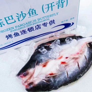 进口巴沙