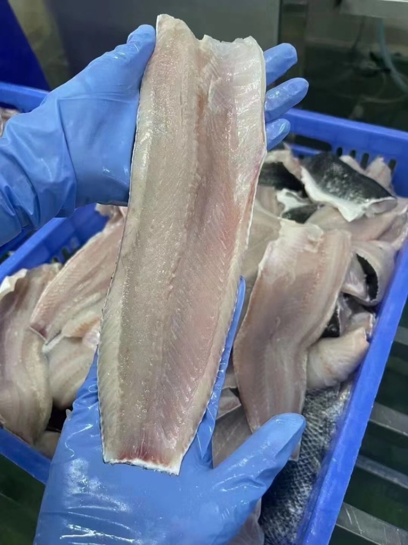 黑鱼片酸菜鱼专用