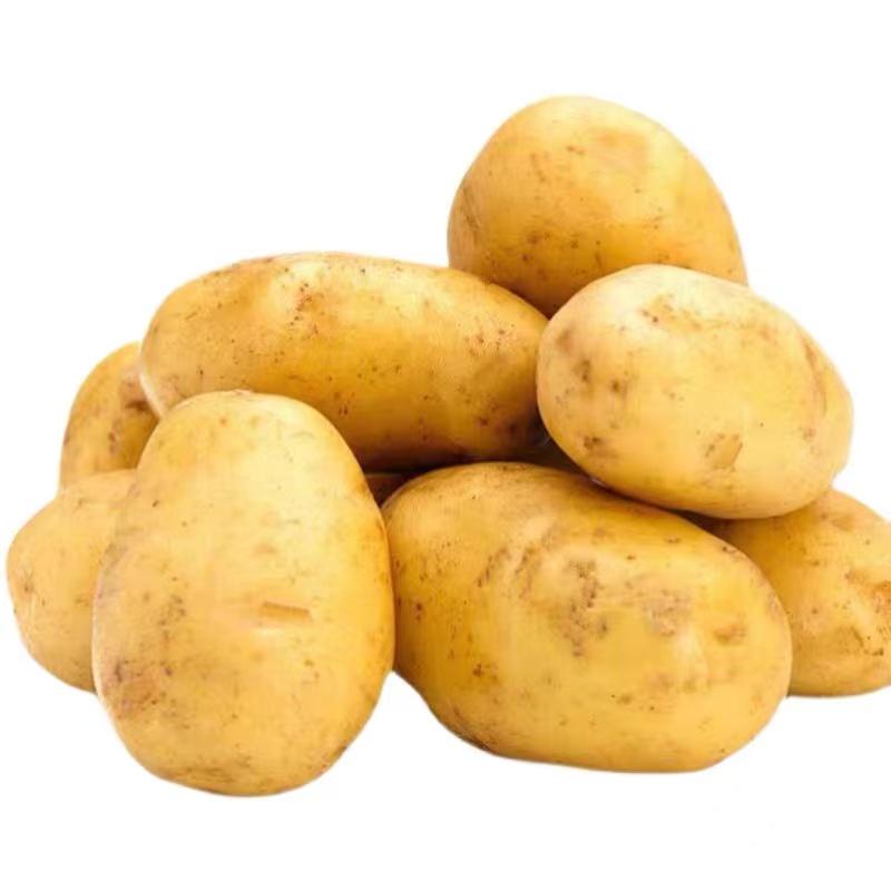 【土豆】黄心土豆土豆马铃薯产地直发保质保量，欢迎订购