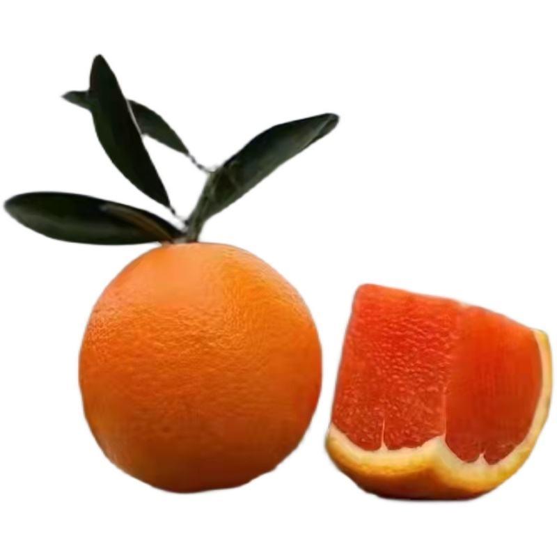 血橙柑橘湖北橙子柑桔产地直发看货论价保质保量，