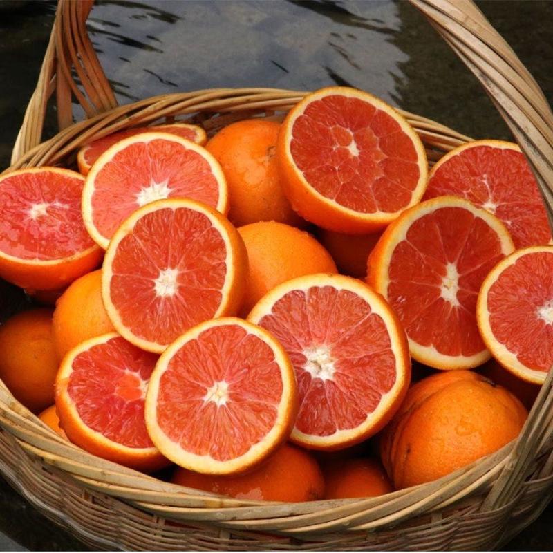 血橙柑橘湖北橙子柑桔产地直发看货论价保质保量，