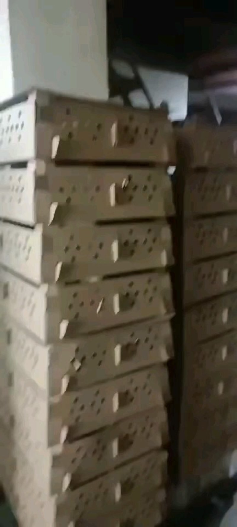 麻乌鸡苗麻羽乌鸡出壳鸡苗云南土鸡苗云南乌鸡苗包路损