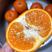 精品默科特柑橘橙子看货论价，产地柑桔，欢迎订购