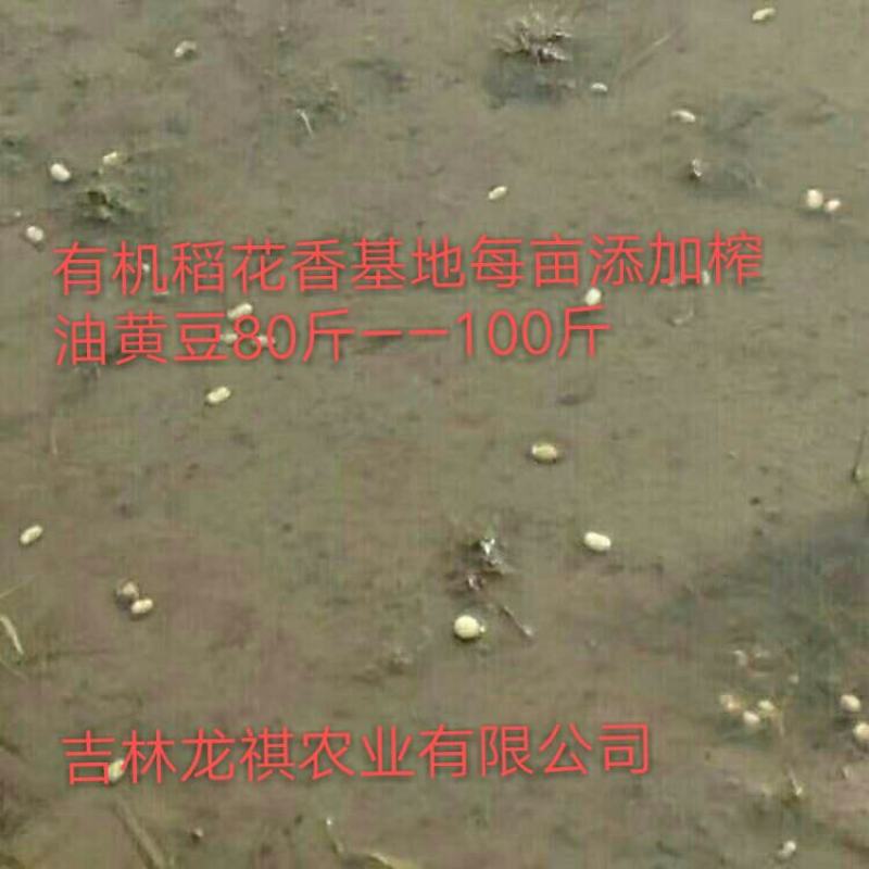 吉林《御珏牌》生态稻花香大米