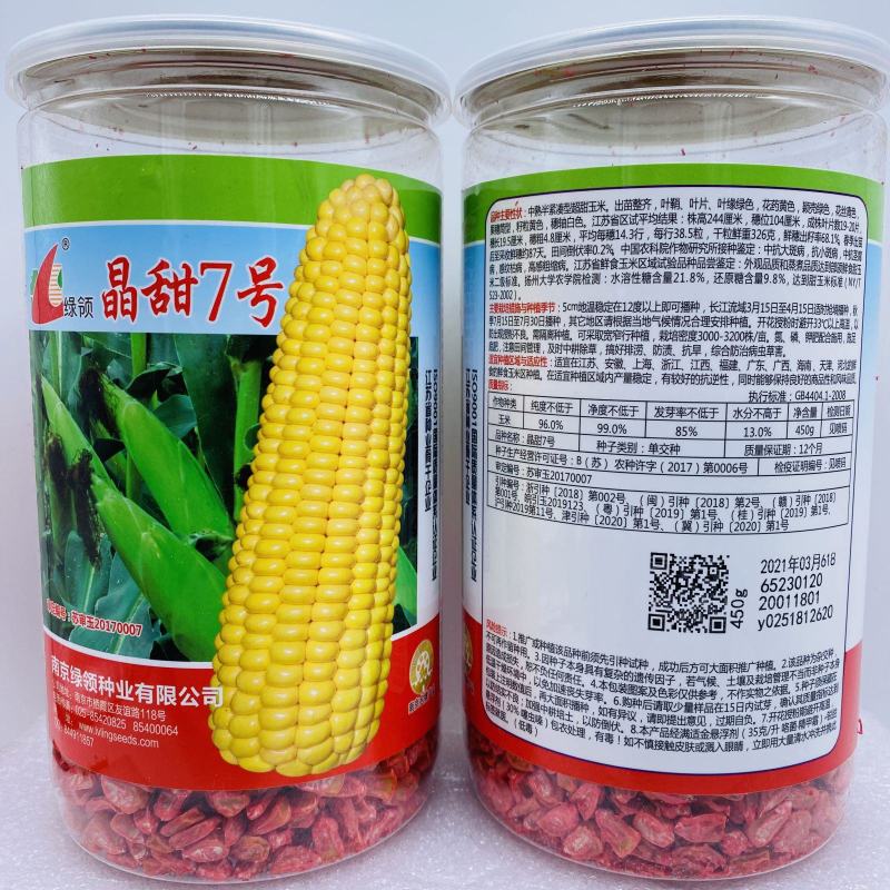 高产早熟国审白糯玉米种子白色玉米种子甜玉米粘苞米籽春播夏