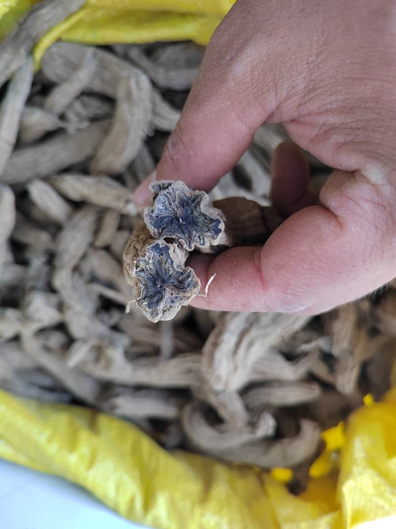 玄参元参黑参500g