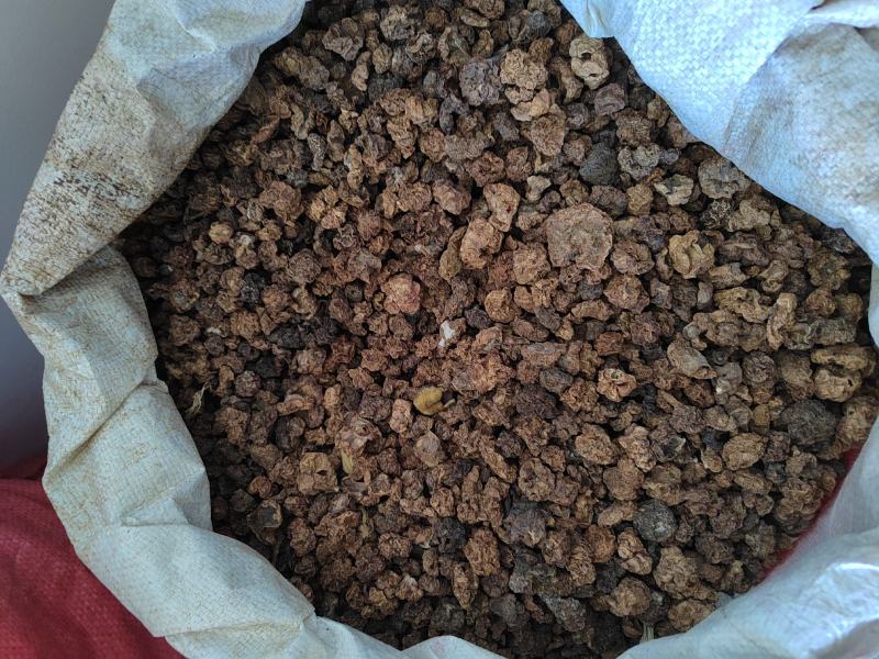 木天蓼果虫瘿果水杨涛水杨桃500g