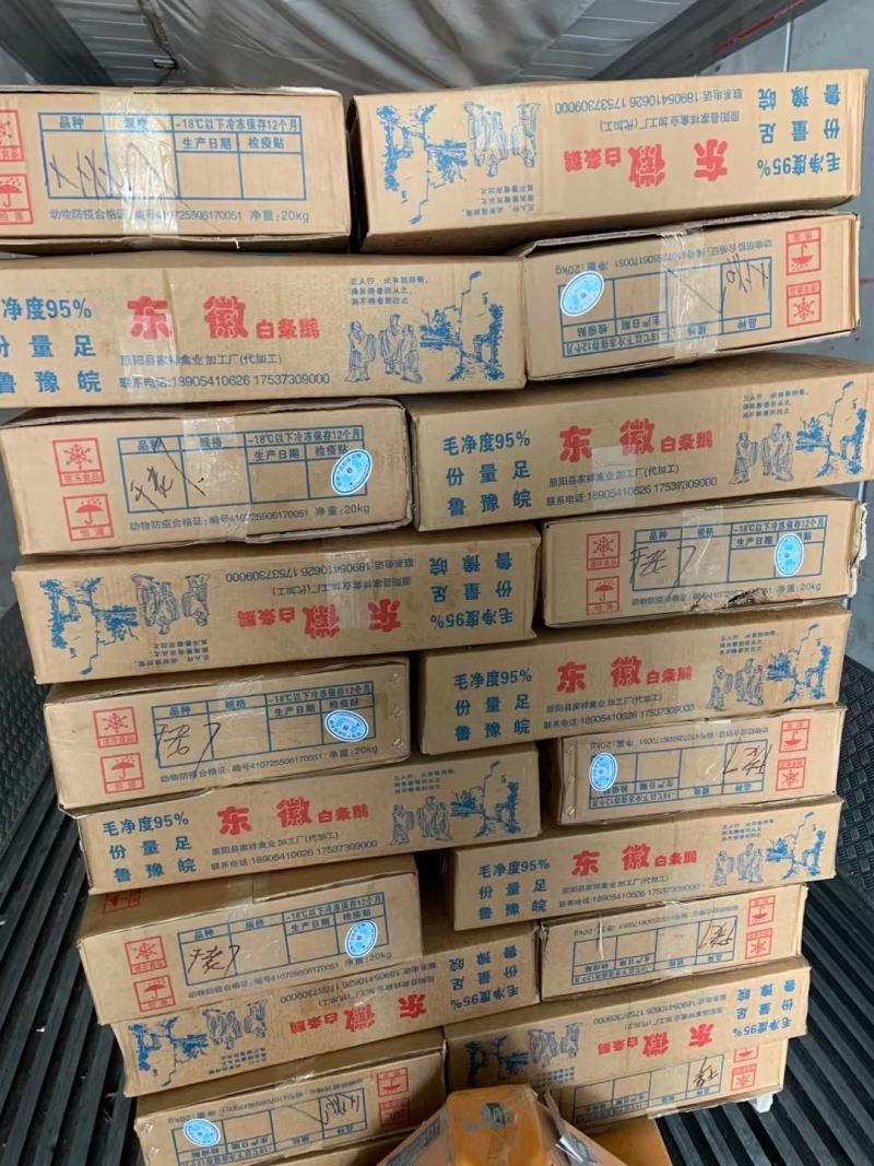 仔鹅@山东东徽鹅业，专业白条鹅供应商，一件可发