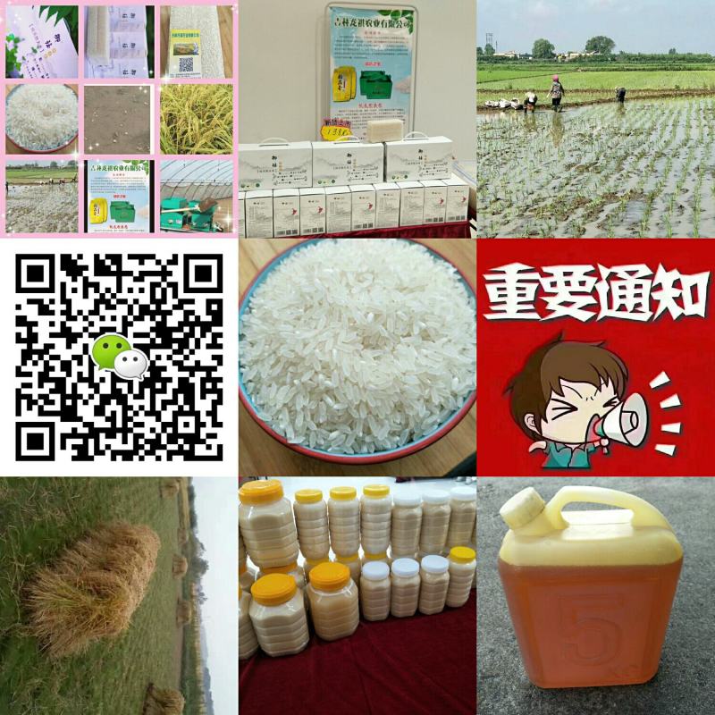 吉林《御珏牌》生态稻花香大米