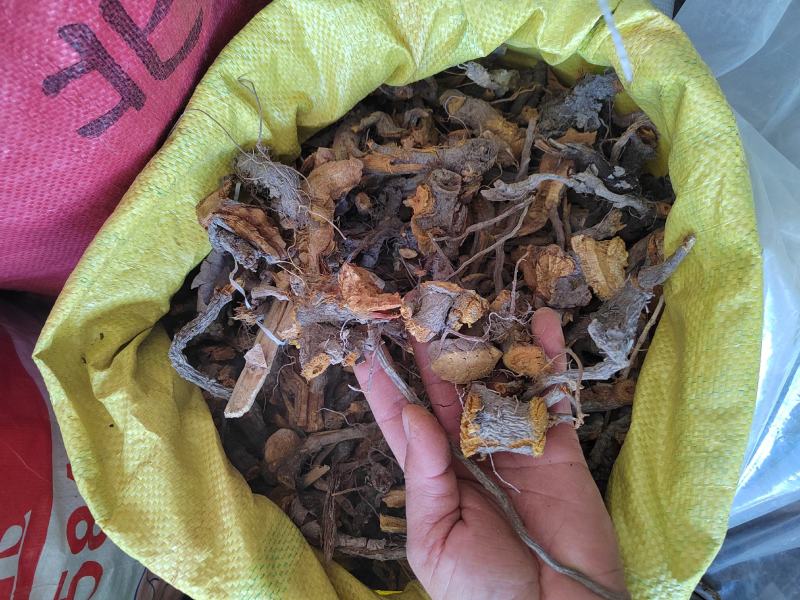 虎杖根虎杖片虎杖粉酸梗子