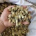 辛夷花玉兰花中药材辛夷