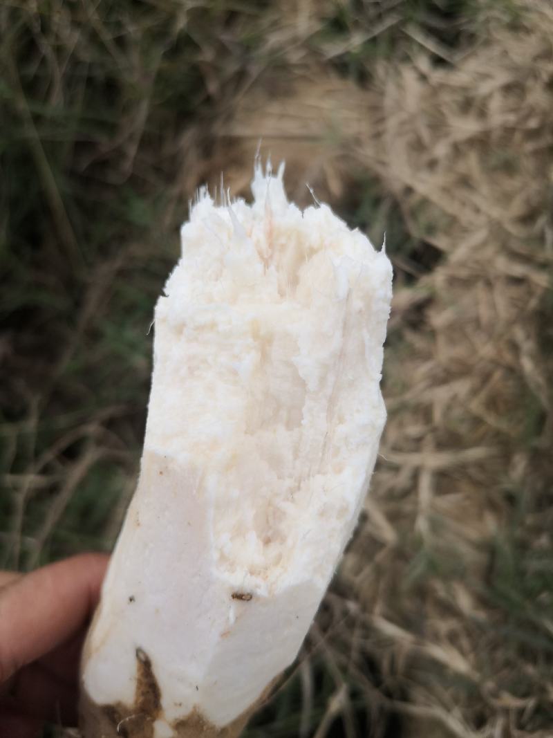 和平无渣粉葛煲汤佳品