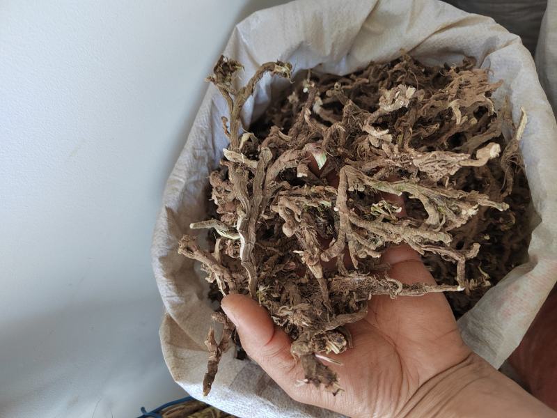 石菖蒲根九节根正宗500g