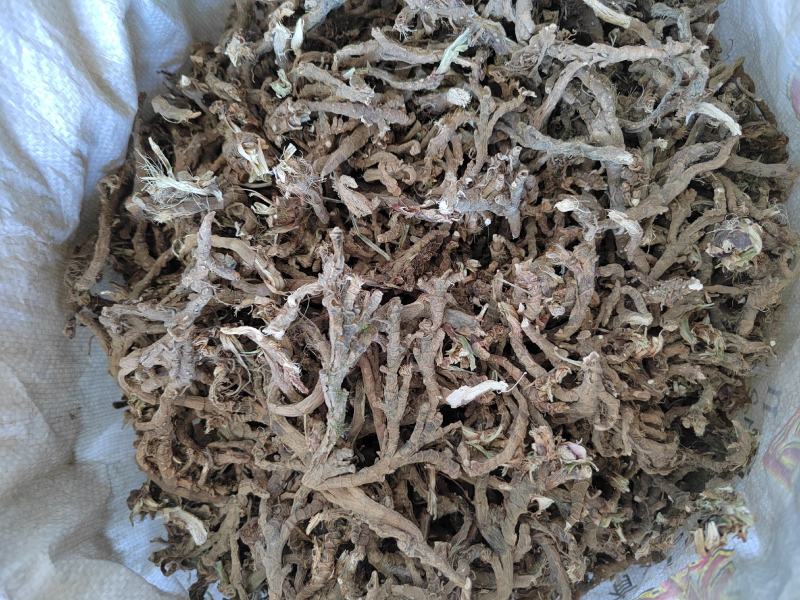 石菖蒲根九节根正宗500g