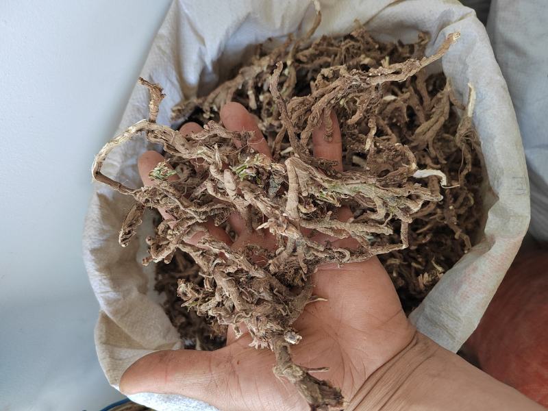 石菖蒲根九节根正宗500g