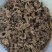 淫羊藿根仙灵脾阳和根500g
