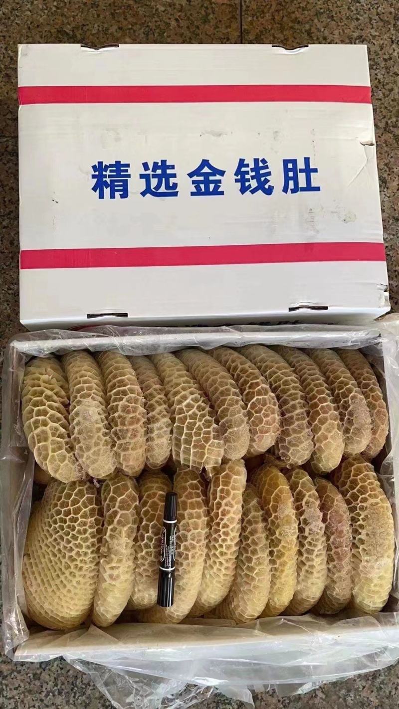 金钱肚