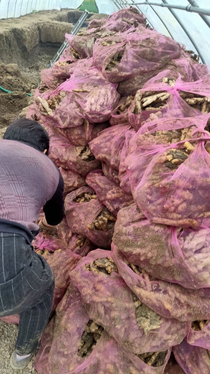 现货生姜，基地直发，有需要的联系我，大量现货
