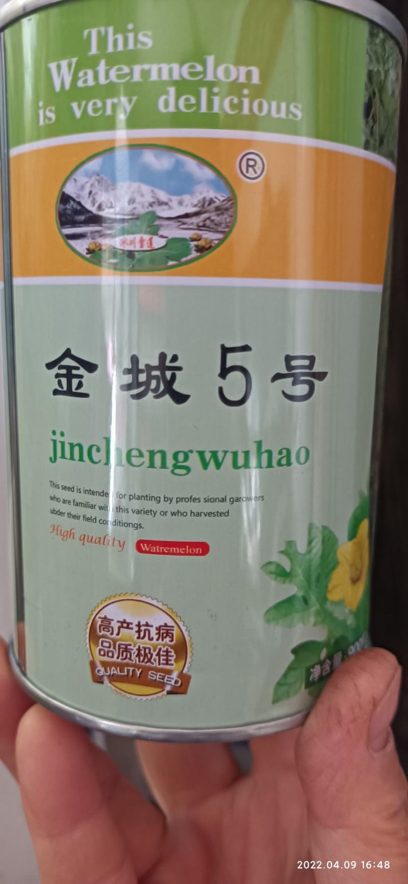 【有好货】金成5号花长瓜中晚熟大果型不易裂果900粒/罐