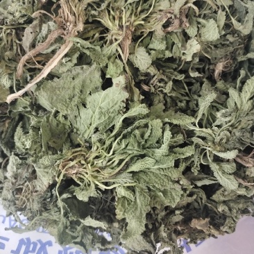 蛤蟆草当年新货颜色青绿山东临沂产地直销