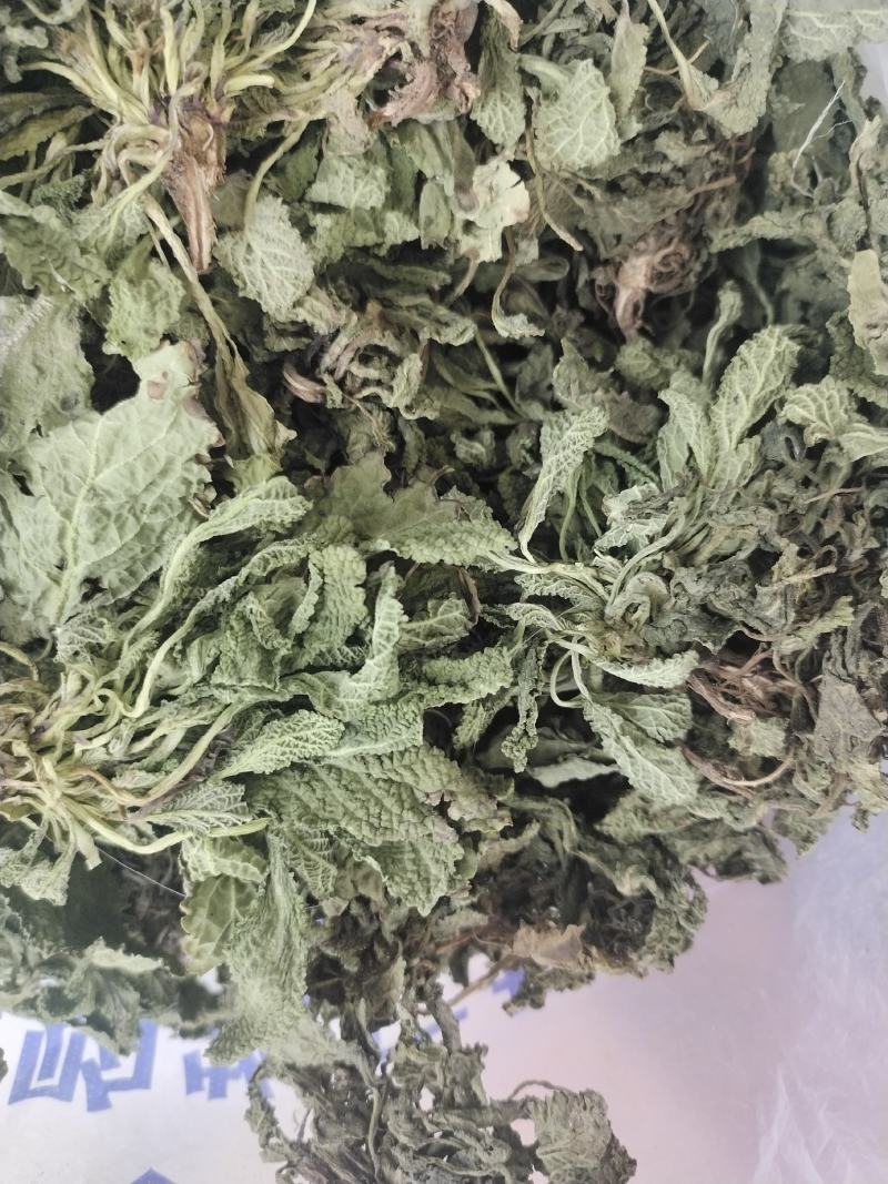 蛤蟆草当年新货颜色青绿山东临沂产地直销