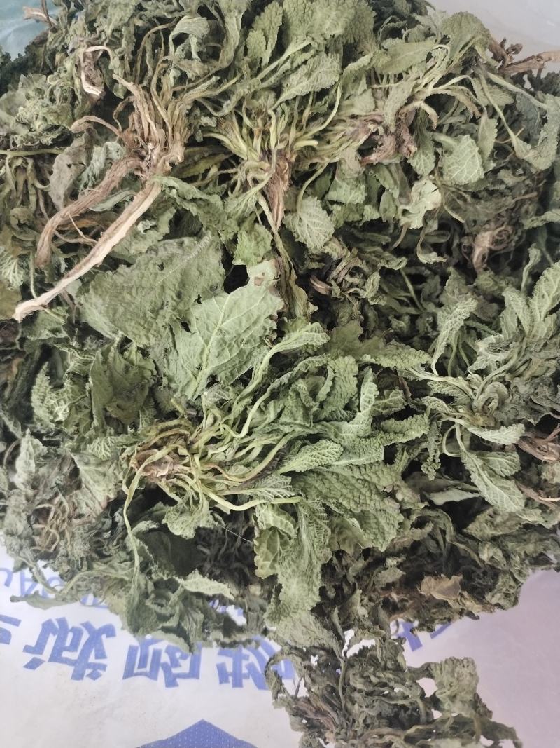 蛤蟆草当年新货颜色青绿山东临沂产地直销
