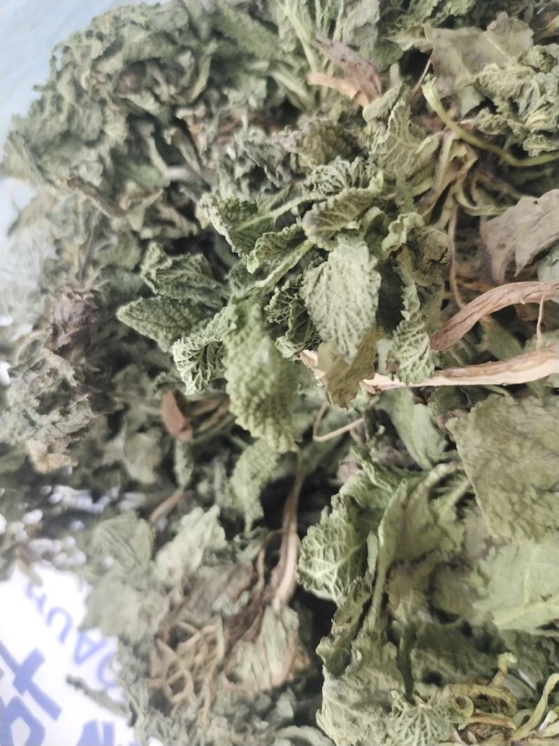 蛤蟆草当年新货颜色青绿山东临沂产地直销