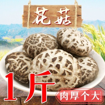 《花菇》新货花菇精选农家花菇香菇250g/500g花菇