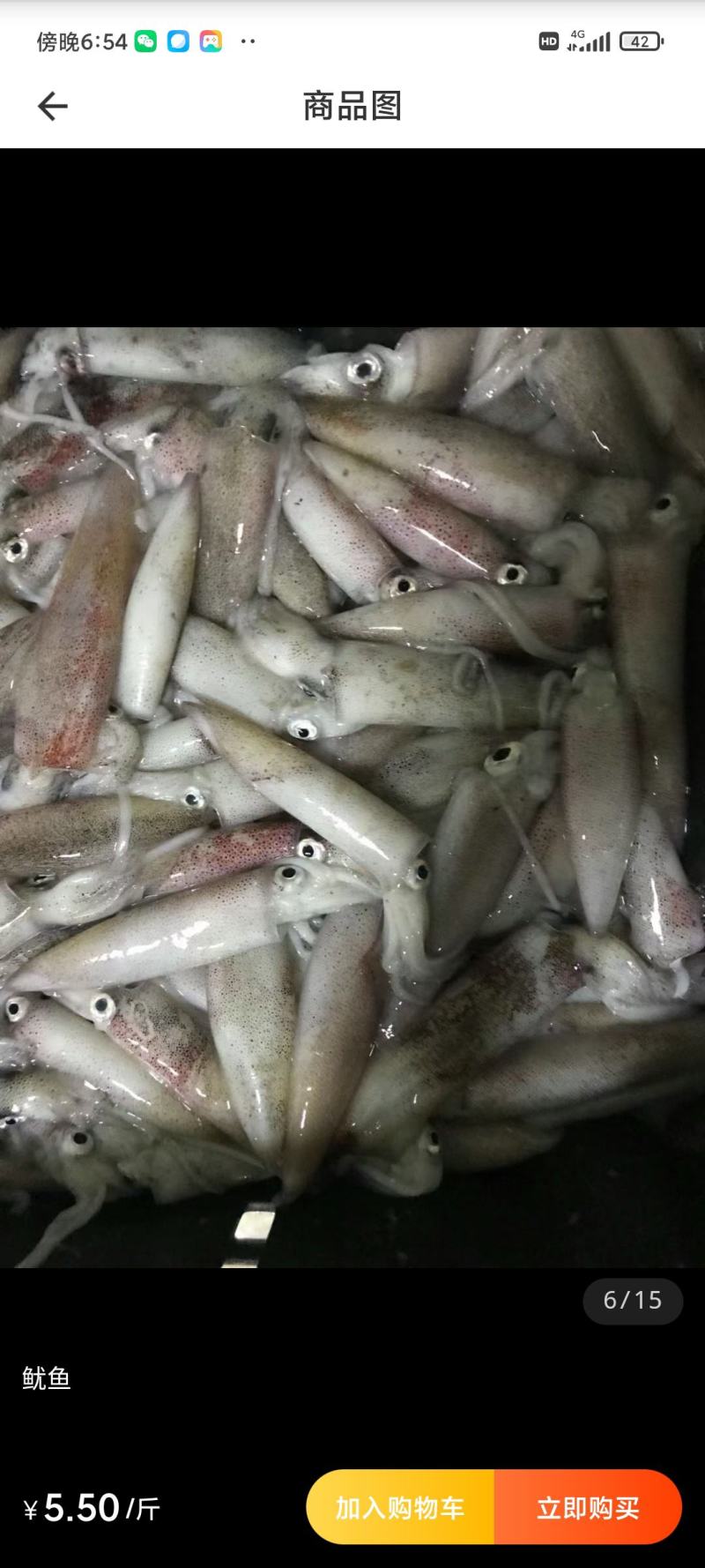 葵花粉，子弹花8块