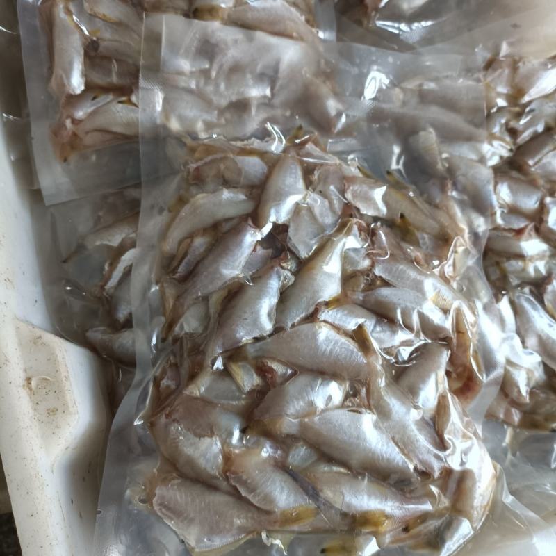 小扒皮鱼