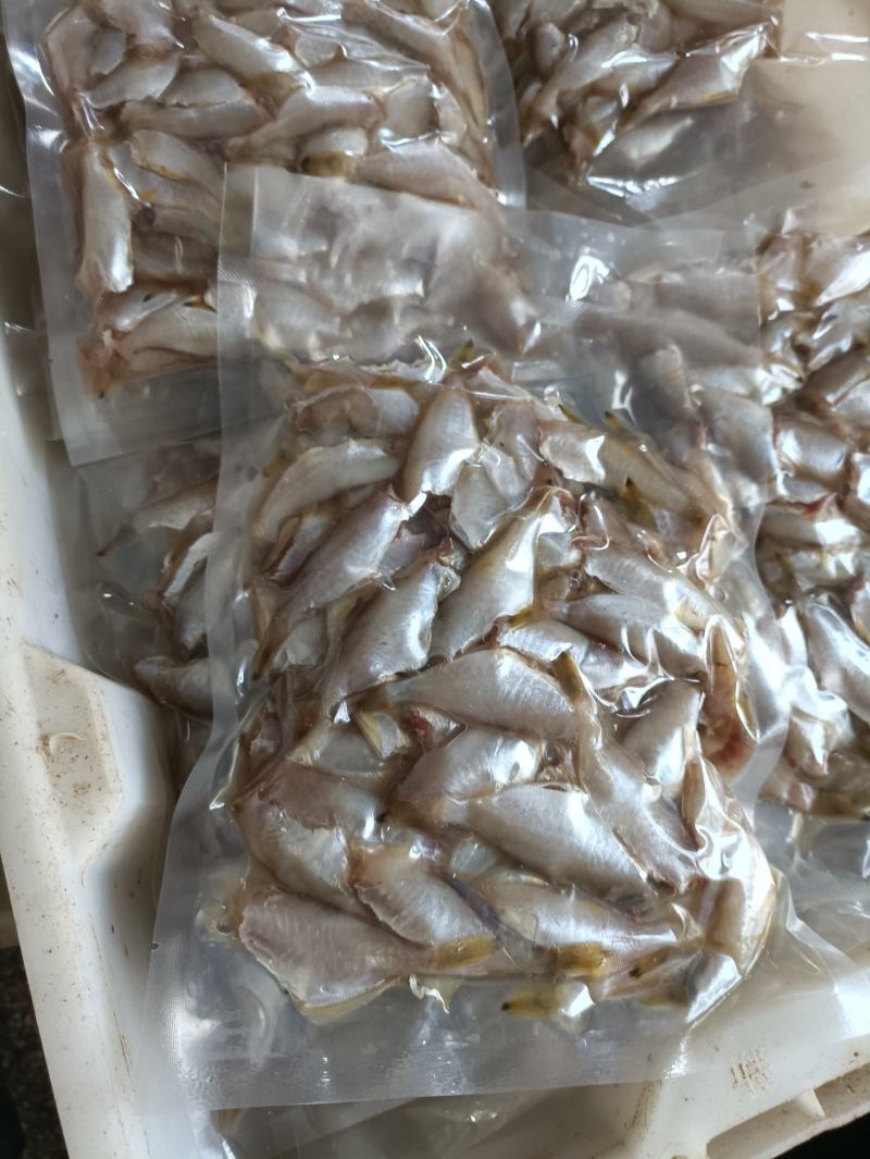 小扒皮鱼