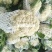 山西松华菜有机花实花新货上市青梗白面支持产地看货
